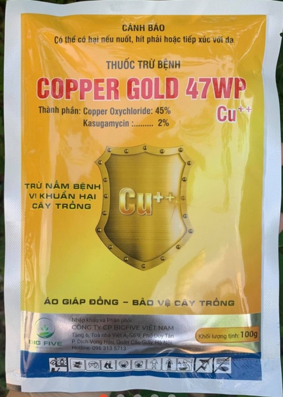 copper gold