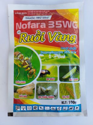 ruồi vàng