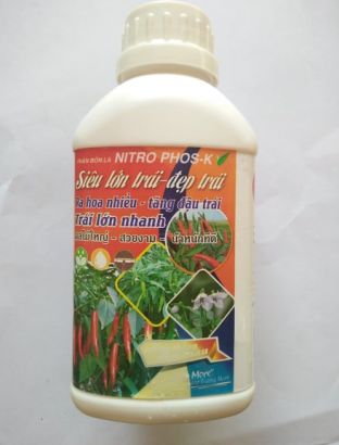 SIÊU LỚN TRÁI ỚT