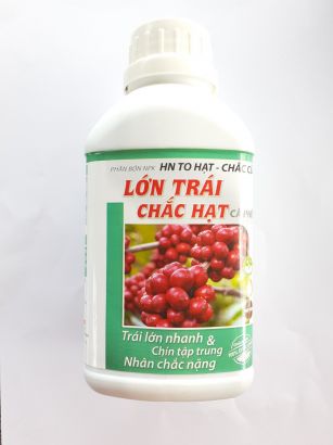 PHÂN BÓN LỚN TRÁI CHẮC HẠT CÀ PHÊ