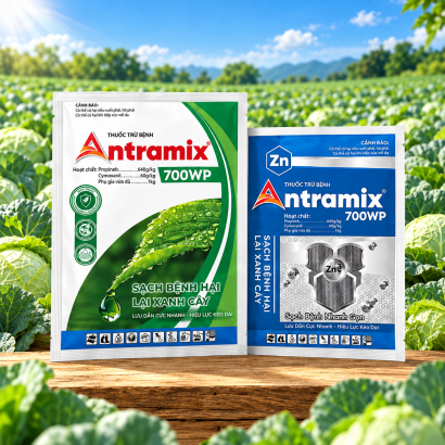 THUỐC TRỪ NẤM BỆNH ANTRAMIX 700WP