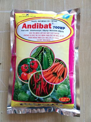 ANDIBAT 700WP