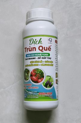 DỊCH TRÙN QUẾ