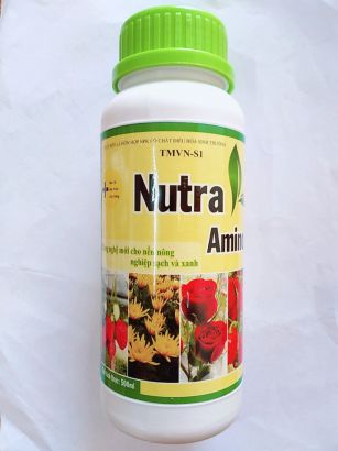 PHÂN VI LƯỢNG NUTRA AMINO