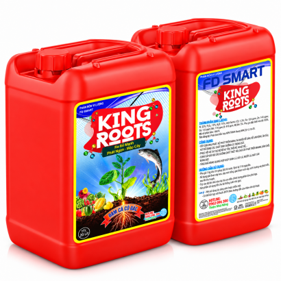 ĐẠM CÁ CÔ ĐẶC KING ROOTS 