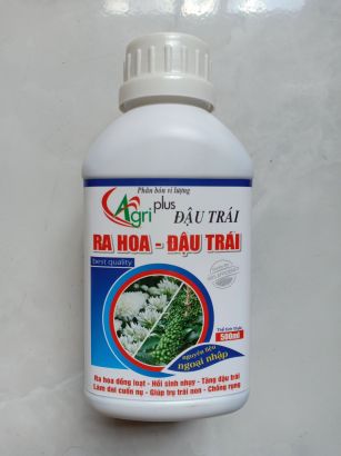 SIÊU RA HOA ĐẬU TRÁI CÀ PHÊ