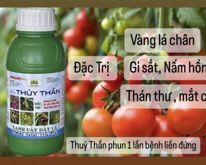 THUỐC TRỪ BỆNH THỦY THẦN