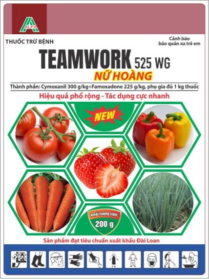 teamwok