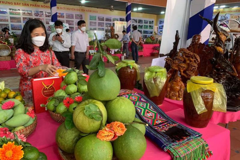 Xây dựng nhãn hiệu chứng nhận &#039;&#039;Bưởi da xanh Đạ Tẻh&#039;&#039;