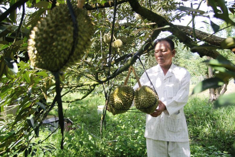 Nông thôn mới và khát vọng thoát nghèo