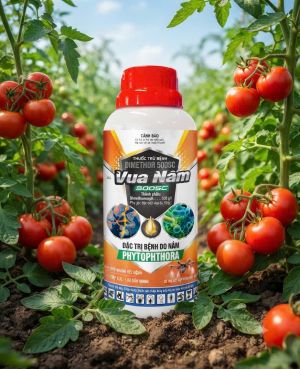 Vua Trị Nấm Dimethor 500SC